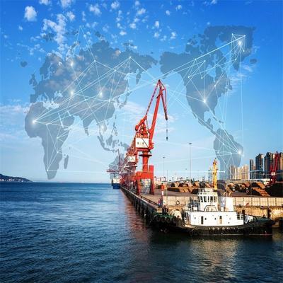 天津外贸进出口代理公司 专业解析进口货物报关流程与农产品食品清关业务