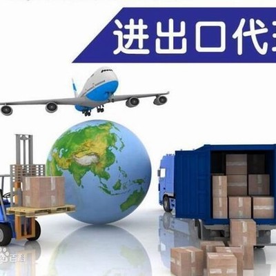 阿联酋清关与报关 专业进出口代理的关键角色